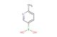 6-methylpyridine-3-boronic acid