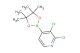 2,3-dichloro-4-(4,4,5,5-tetramethyl-1,3,2-dioxaborolan-2-yl)pyridine
