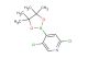 2,5-dichloro-4-(4,4,5,5-tetramethyl-1,3,2-dioxaborolan-2-yl)pyridine