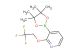 3-(4,4,5,5-tetramethyl-1,3,2-dioxaborolan-2-yl)-2-(2,2,2-trifluoroethoxy)pyridine