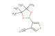 4-(4,4,5,5-tetramethyl-1,3,2-dioxaborolan-2-yl)thiophene-3-carbonitrile