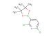 2,6-dichloro-3-(4,4,5,5-tetramethyl-1,3,2-dioxaborolan-2-yl)pyridine