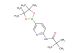 N-(5-(4,4,5,5-tetramethyl-1,3,2-dioxaborolan-2-yl)pyridin-2-yl)pivalamide