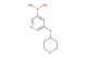 5-((tetrahydro-2H-pyran-4-yl)oxy)pyridine-3-boronic acid