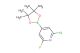 2-chloro-6-fluoro-4-(4,4,5,5-tetramethyl-1,3,2-dioxaborolan-2-yl)pyridine