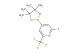 2-fluoro-4-(4,4,5,5-tetramethyl-1,3,2-dioxaborolan-2-yl)-6-(trifluoromethyl)pyridine