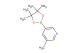 3-methyl-5-(4,4,5,5-tetramethyl-1,3,2-dioxaborolan-2-yl)pyridine