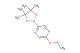 2-ethoxy-5-(4,4,5,5-tetramethyl-1,3,2-dioxaborolan-2-yl)pyrazine
