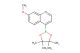 7-methoxy-4-(4,4,5,5-tetramethyl-1,3,2-dioxaborolan-2-yl)quinoline