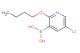 2-butoxy-5-chloropyridine-3-boronic acid