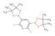 2,6-difluoro-3,5-bis(4,4,5,5-tetramethyl-1,3,2-dioxaborolan-2-yl)pyridine