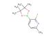2-fluoro-6-methyl-3-(4,4,5,5-tetramethyl-1,3,2-dioxaborolan-2-yl)pyridine