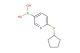 6-(cyclopentylthio)pyridine-3-boronic acid