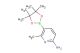 6-methyl-5-(4,4,5,5-tetramethyl-1,3,2-dioxaborolan-2-yl)pyridin-2-amine