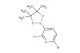6-bromo-2-chloro-3-(4,4,5,5-tetramethyl-1,3,2-dioxaborolan-2-yl)pyridine