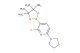 2-fluoro-6-(pyrrolidin-1-yl)-3-(4,4,5,5-tetramethyl-1,3,2-dioxaborolan-2-yl)pyridine