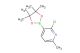 2-chloro-6-methyl-3-(4,4,5,5-tetramethyl-1,3,2-dioxaborolan-2-yl)pyridine