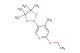 2-ethoxy-4-methyl-5-(4,4,5,5-tetramethyl-1,3,2-dioxaborolan-2-yl)pyridine