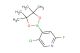 5-chloro-2-fluoro-4-(4,4,5,5-tetramethyl-1,3,2-dioxaborolan-2-yl)pyridine