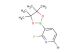 6-bromo-2-fluoro-3-(4,4,5,5-tetramethyl-1,3,2-dioxaborolan-2-yl)pyridine