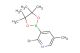 2-bromo-5-methyl-3-(4,4,5,5-tetramethyl-1,3,2-dioxaborolan-2-yl)pyridine