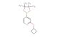 2-cyclobutoxy-4-(4,4,5,5-tetramethyl-1,3,2-dioxaborolan-2-yl)pyridine