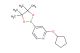 2-(cyclopentyloxy)-4-(4,4,5,5-tetramethyl-1,3,2-dioxaborolan-2-yl)pyridine