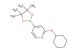 2-(cyclohexyloxy)-4-(4,4,5,5-tetramethyl-1,3,2-dioxaborolan-2-yl)pyridine