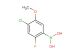 4-chloro-2-fluoro-5-methoxyphenylboronic acid