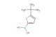 5-(tert-butyl)thiophene-2-boronic acid