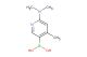6-(dimethylamino)-4-methylpyridine-3-boronic acid