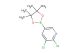 2,3-dichloro-5-(4,4,5,5-tetramethyl-1,3,2-dioxaborolan-2-yl)pyridine