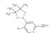 5-bromo-4-(4,4,5,5-tetramethyl-1,3,2-dioxaborolan-2-yl)picolinonitrile
