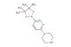 1-(5-(4,4,5,5-tetramethyl-1,3,2-dioxaborolan-2-yl)pyridin-2-yl)piperazine