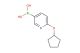 6-(cyclopentyloxy)pyridine-3-boronic acid