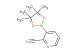 3-(4,4,5,5-tetramethyl-1,3,2-dioxaborolan-2-yl)picolinonitrile