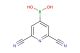 2,6-dicyanopyridine-4-boronic acid