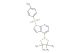 4-(4,4,5,5-tetramethyl-1,3,2-dioxaborolan-2-yl)-1-tosyl-1H-pyrrolo[2,3-b]pyridine