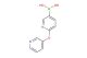 6-(pyridin-3-yloxy)pyridine-3-boronic acid