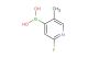 2-fluoro-5-methylpyridine-4-boronic acid