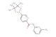 N-(6-methylpyridin-2-yl)-5-(4,4,5,5-tetramethyl-1,3,2-dioxaborolan-2-yl)picolinamide