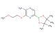 3-(2-methoxyethoxy)-5-(4,4,5,5-tetramethyl-1,3,2-dioxaborolan-2-yl)pyrazin-2-amine