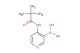 4-pivalamidopyridine-3-boronic acid