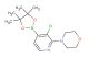4-(3-chloro-4-(4,4,5,5-tetramethyl-1,3,2-dioxaborolan-2-yl)pyridin-2-yl)morpholine