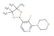 4-(3-fluoro-4-(4,4,5,5-tetramethyl-1,3,2-dioxaborolan-2-yl)pyridin-2-yl)morpholine