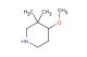 3,3-dimethyl-4-methoxypiperidine
