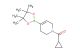 cyclopropyl(4-(4,4,5,5-tetramethyl-1,3,2-dioxaborolan-2-yl)-5,6-dihydropyridin-1(2H)-yl)methanone