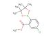 5-chloro-2-(4,4,5,5-tetramethyl-[1,3,2]dioxaborolan-2-yl)benzoic acid methyl ester