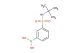 3-[N-(tert-butyl)sulfamoyl]phenylboronic acid