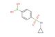 4-(cyclopropylsulfamoyl)phenylboronic acid
